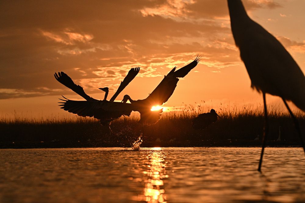 Photograph by Juraj Benčík