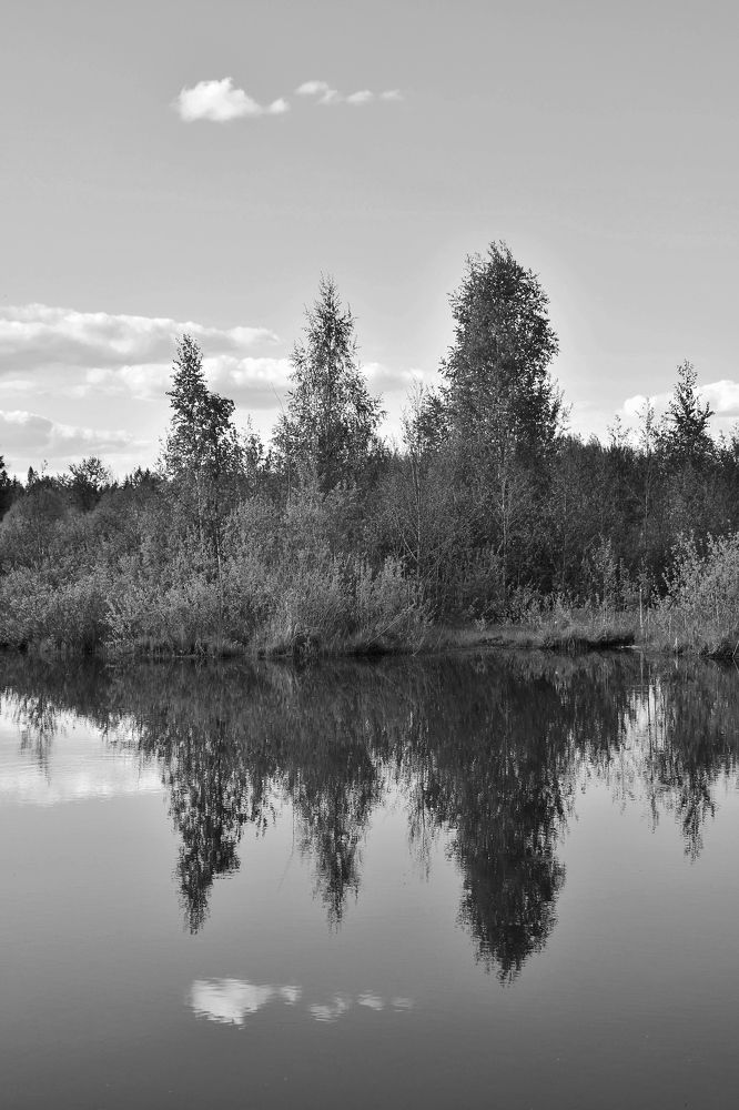 Photograph by Дмитрий Петров