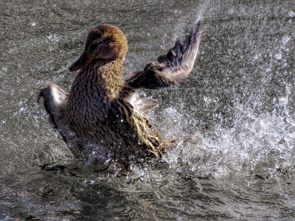Весна на озере