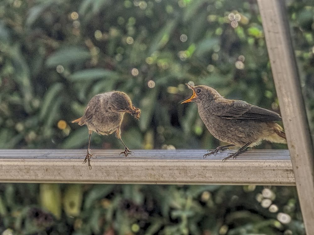 Есть хочется!