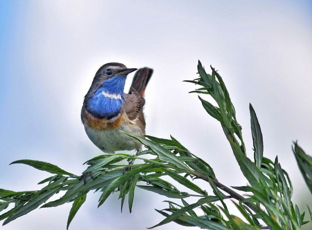 Photograph by Ирина Курицына