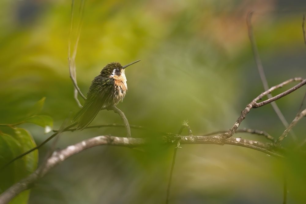 Photograph by Juraj Benčík