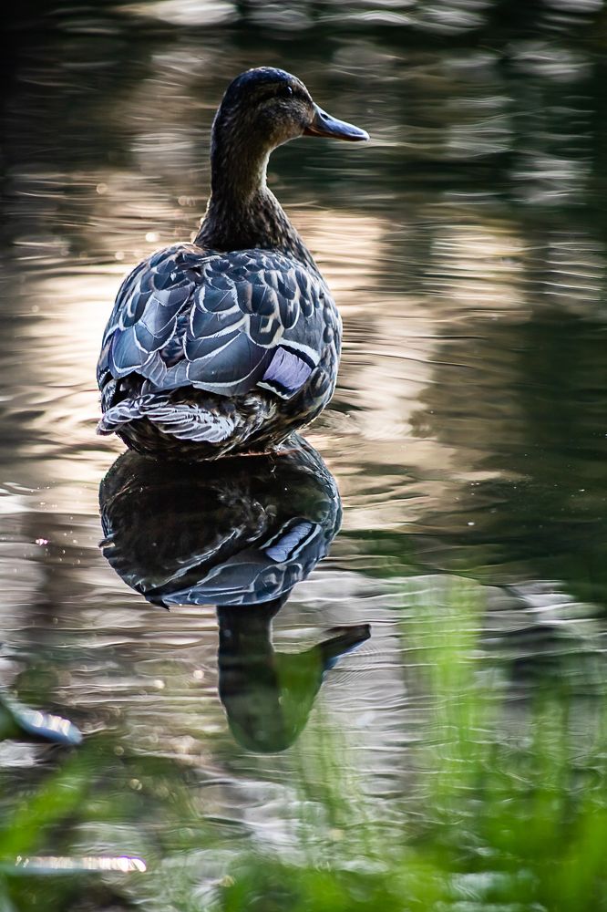 Photograph by Вера Александрова