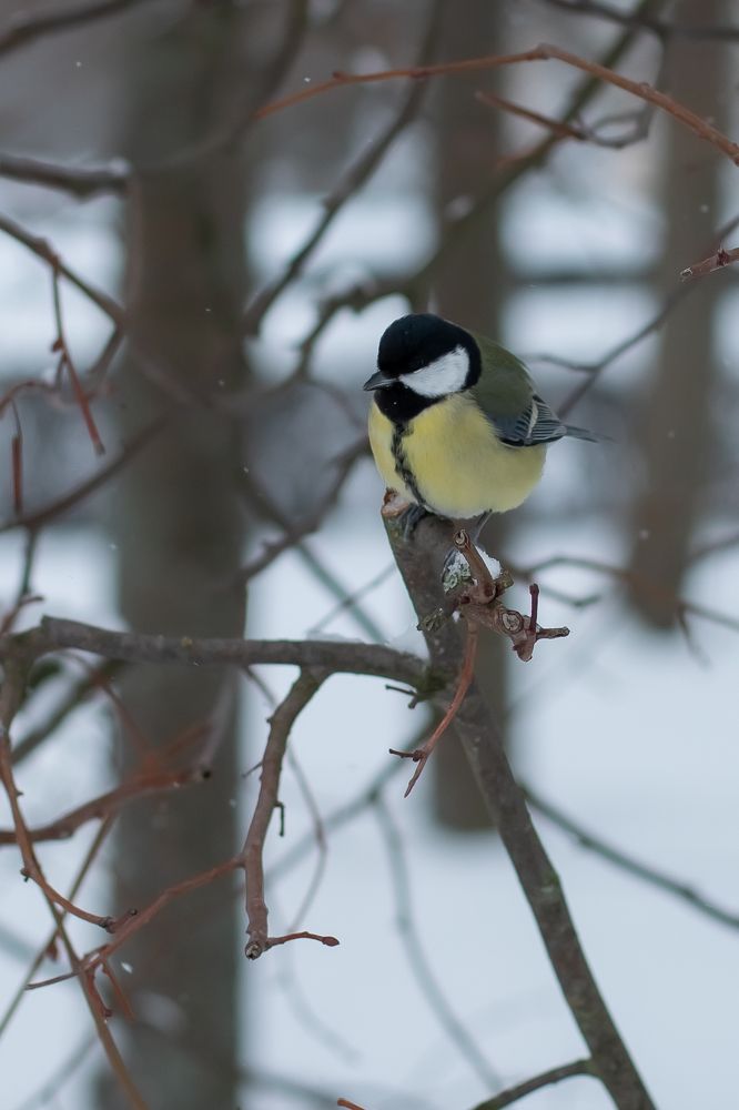 Photograph by Вера Александрова