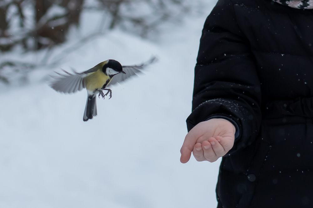 Photograph by Вера Александрова