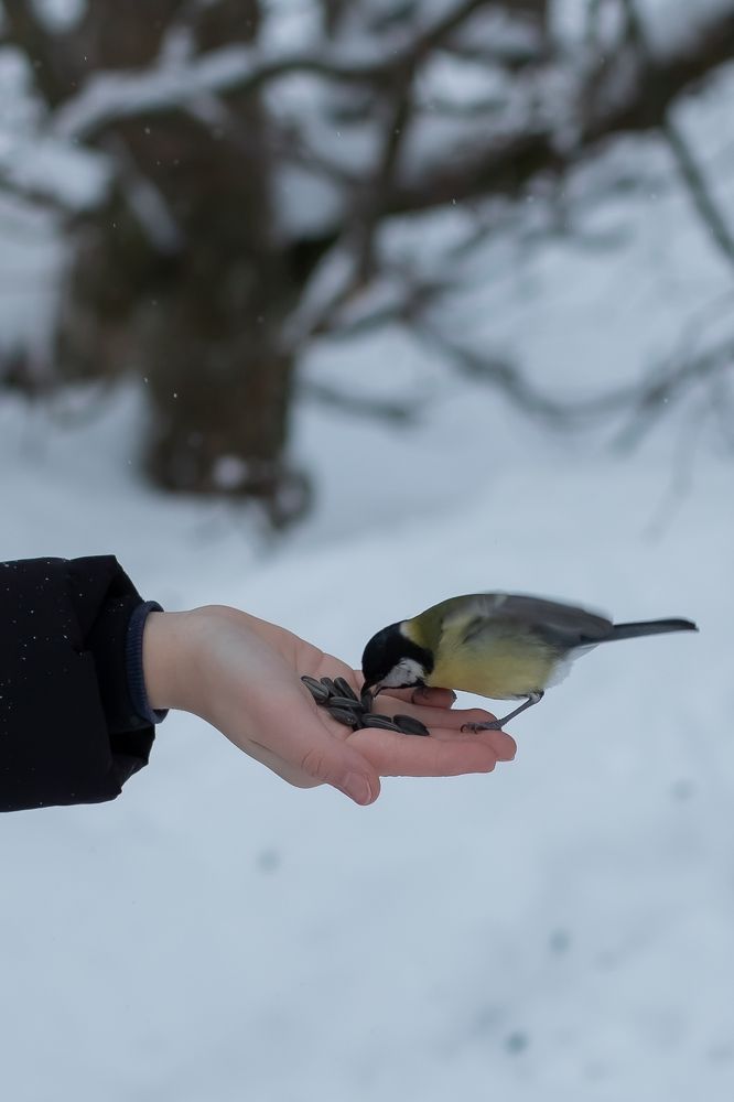 Photograph by Вера Александрова