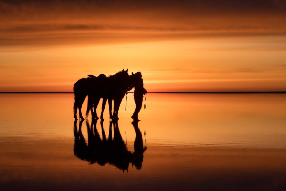 Photograph by Алексей Мараховец