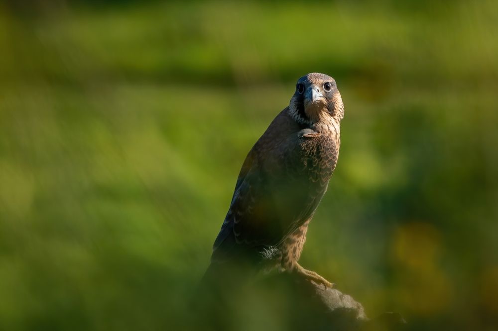 Photograph by Сергей Лебедев