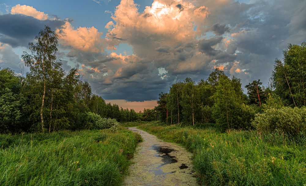 Photograph by Евгений Патрешов