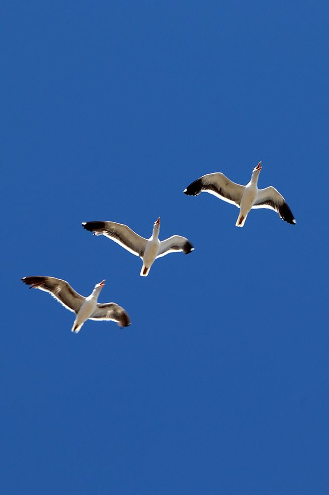 Фотография автора Sergio Sergio Cano Arias