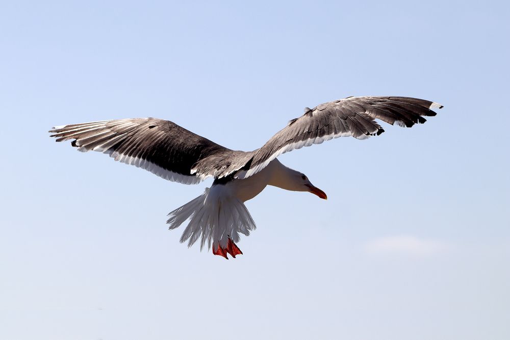 Фотография автора Sergio Sergio Cano Arias