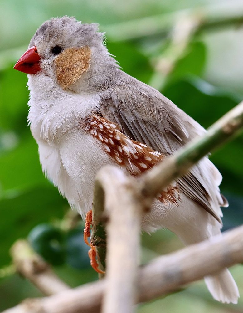 Photograph by Малика Маткарим