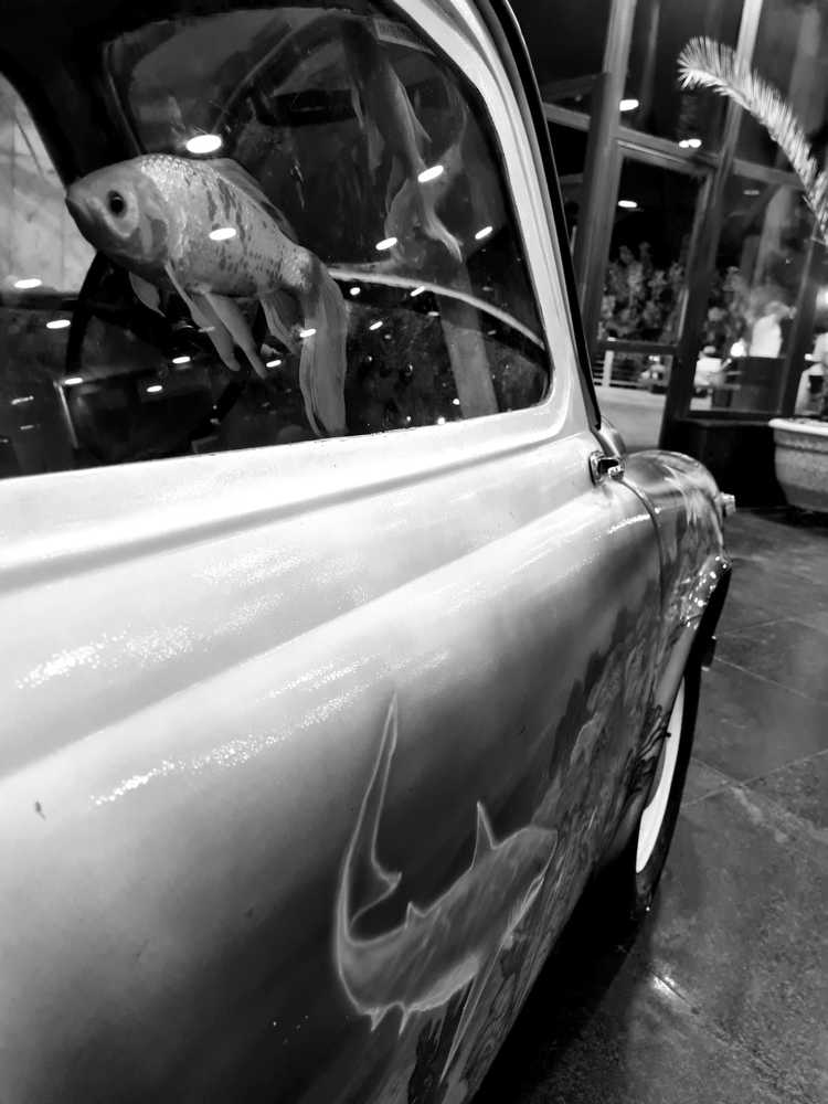 Photograph by Tatiana Denisova