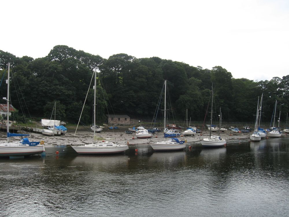 Photo #7778473