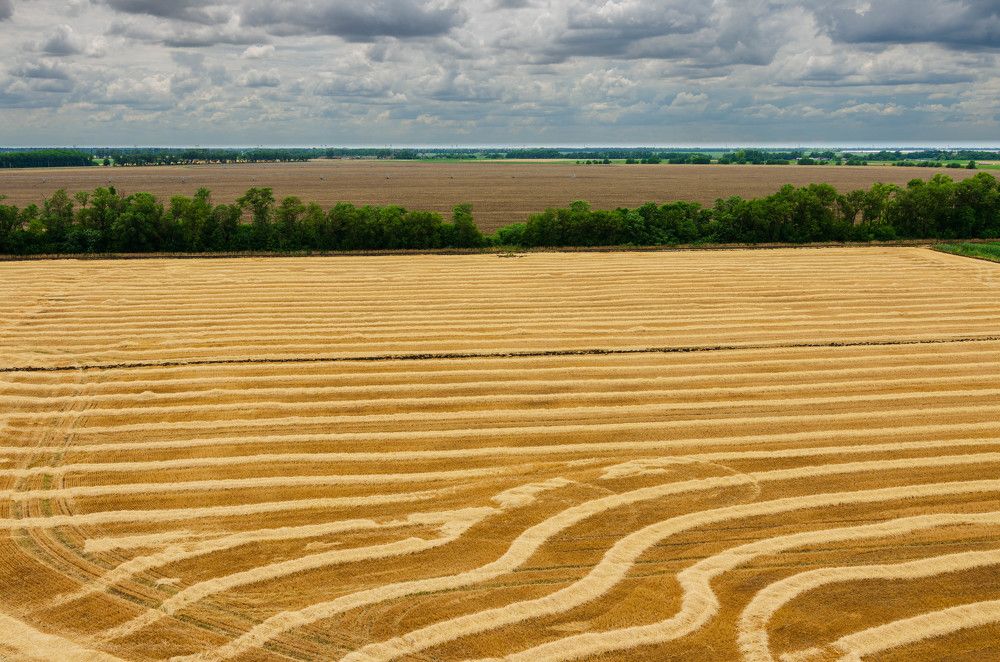 Photograph by Редько Александр