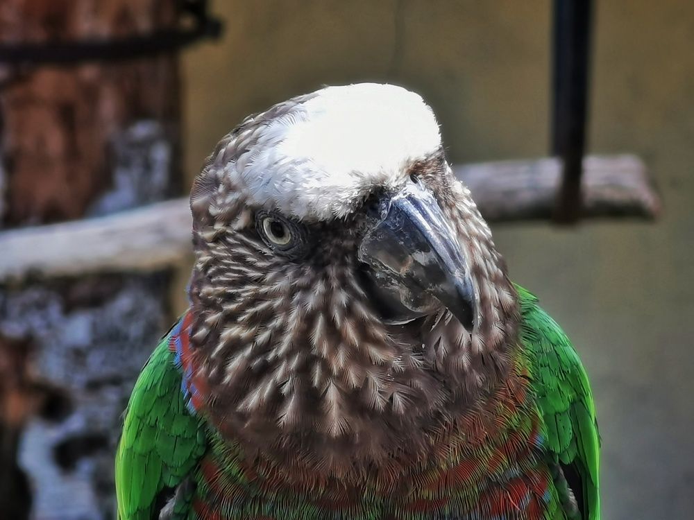 Photograph by Максим