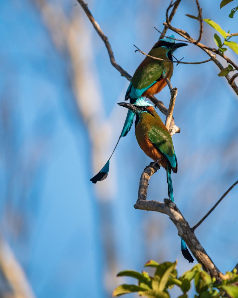 Photograph by Miguel Diaz