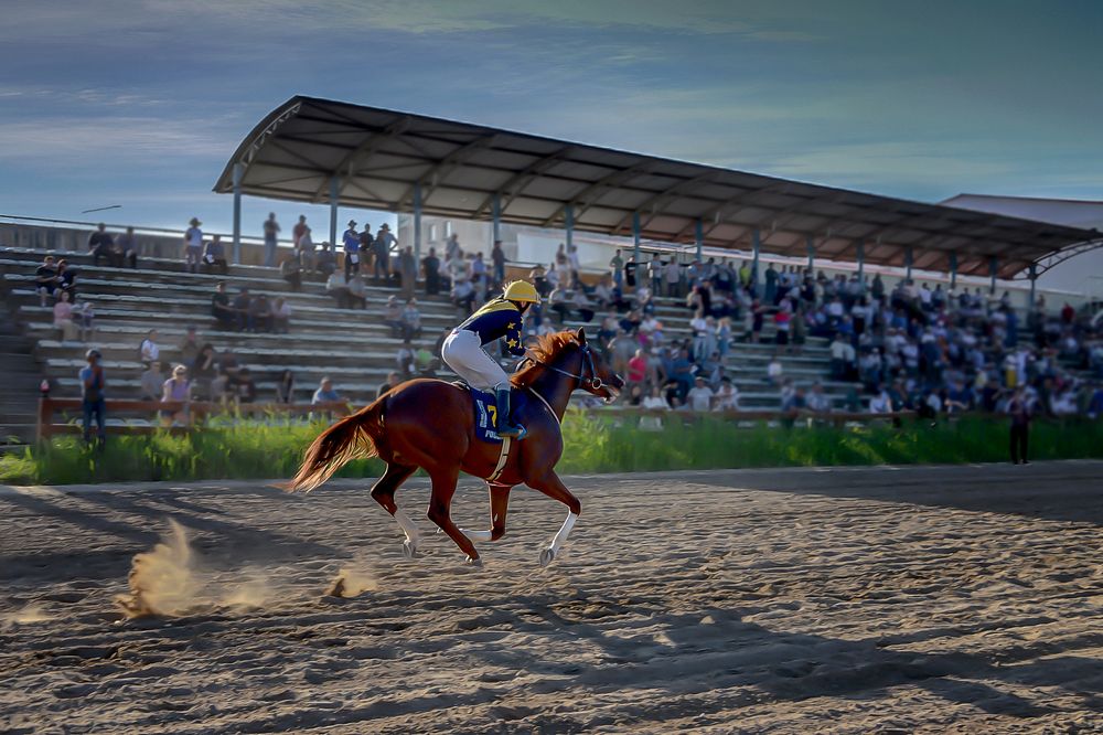 Photograph by Александр Шипиленко