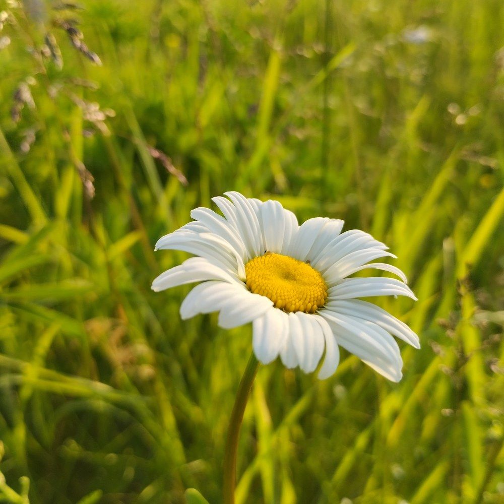 Photograph by Екатерина Супраненок