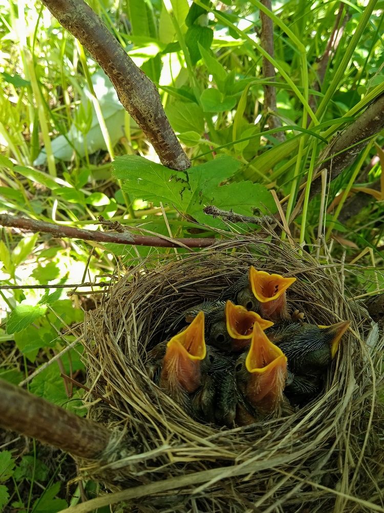 Photograph by Mila Vshivkova