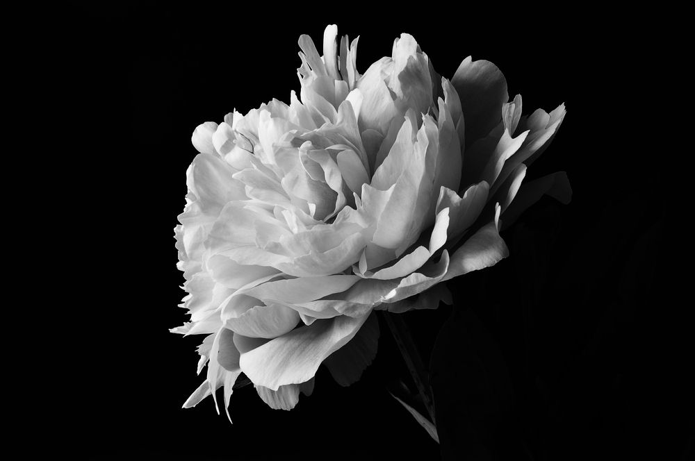 Photograph by Анна Кендик