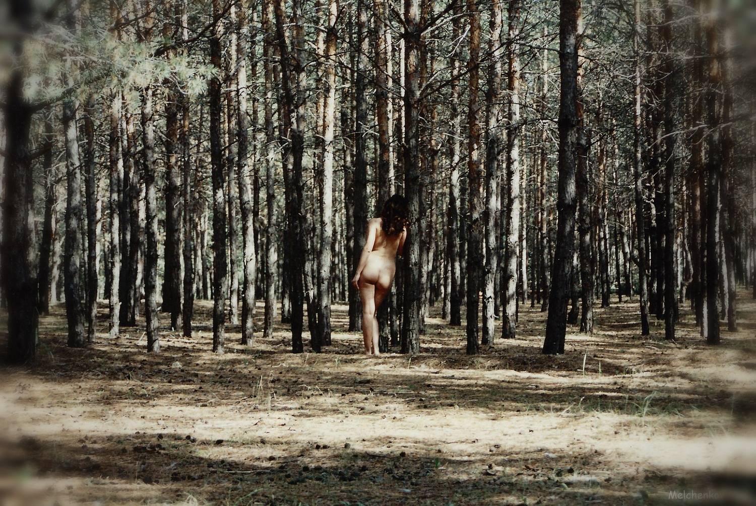 Photo #7778652
