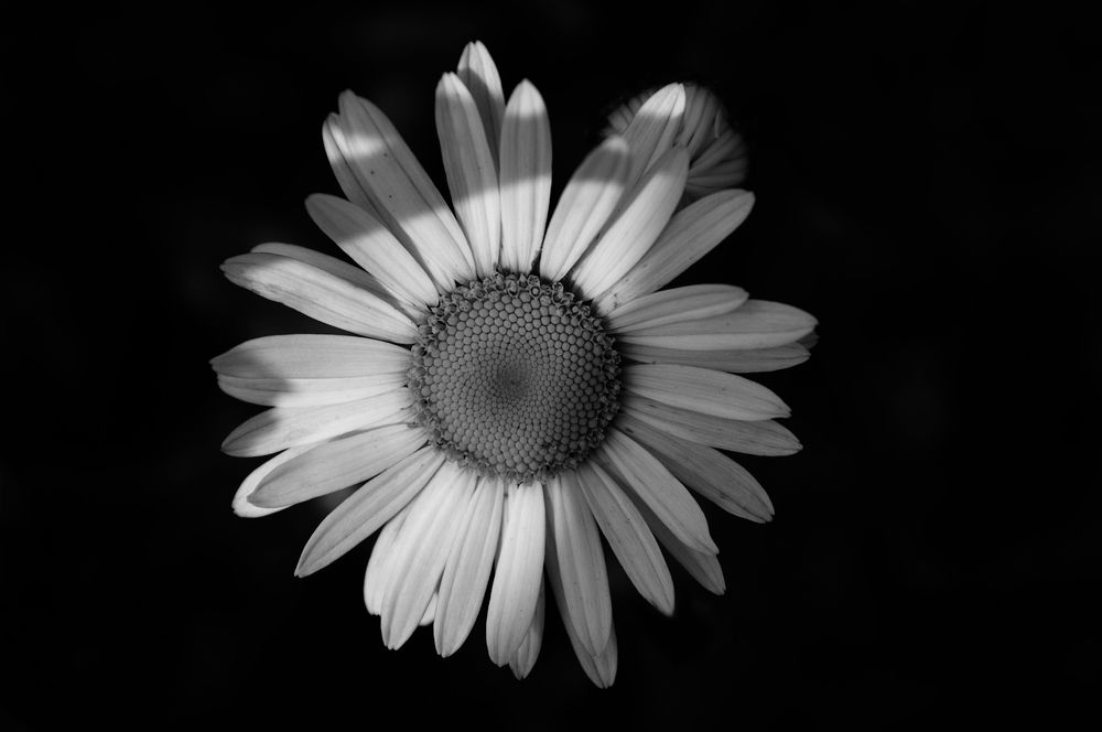 Photograph by Анна Кендик