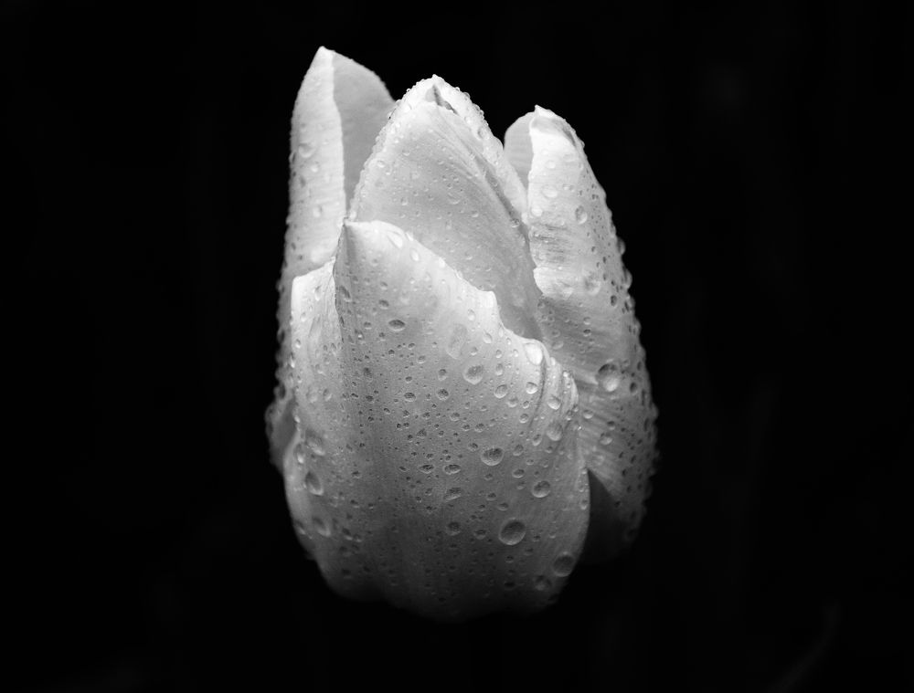 Photograph by Анна Кендик