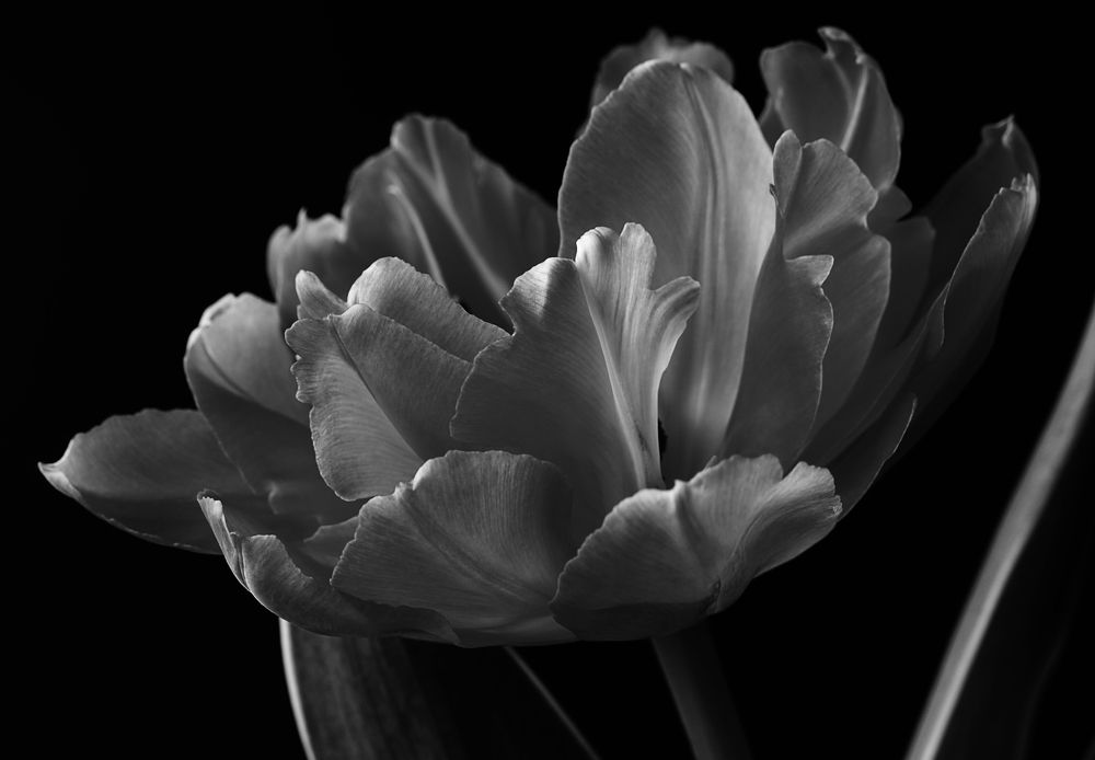 Photo #7778664
