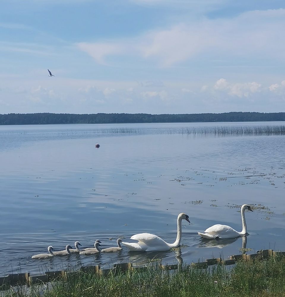 Фотография автора Ольга Матусевич