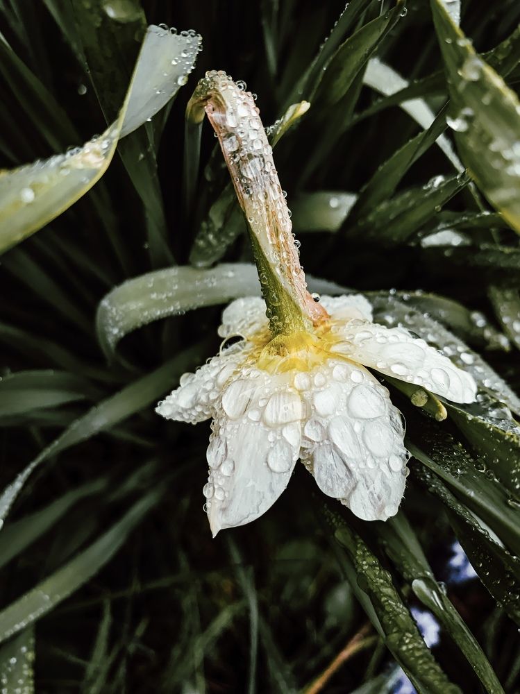 Photograph by Мария Василенко