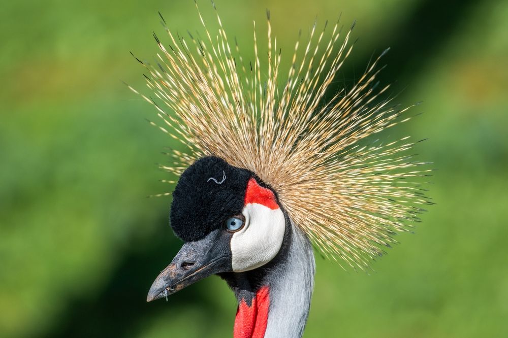 Photograph by Francisco José López Fernández