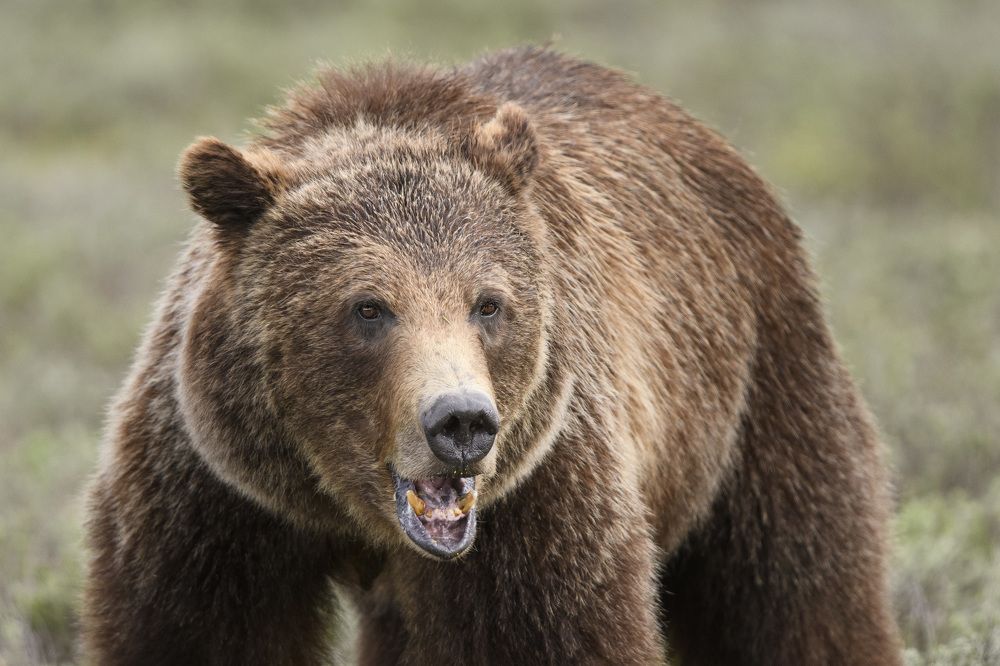 Photograph by Jorn Vangoidtsenhoven