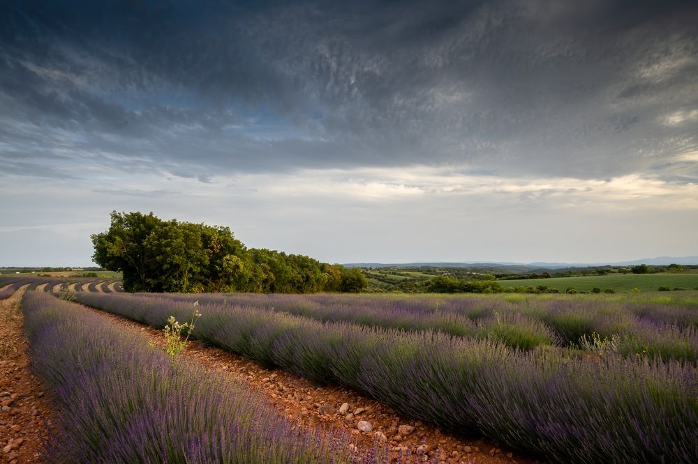 Photograph by Наталья Пирогова