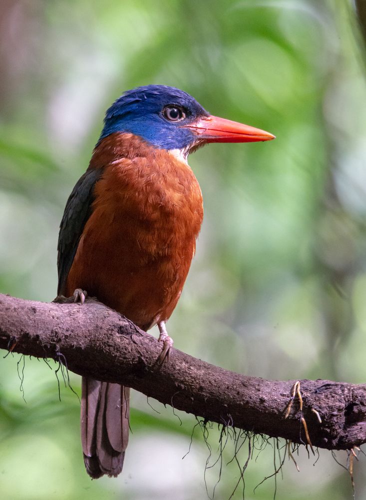 Photograph by Сергей Сыресин