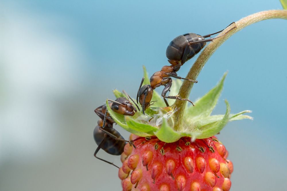 У жизни есть вкус…