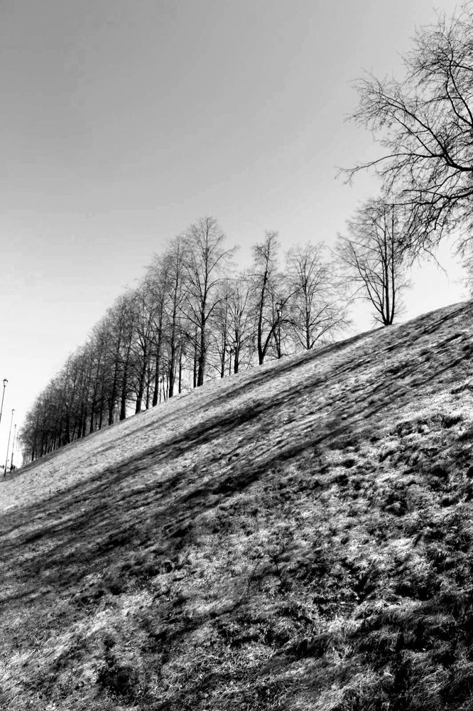 Photograph by Екатерина Хозяшева