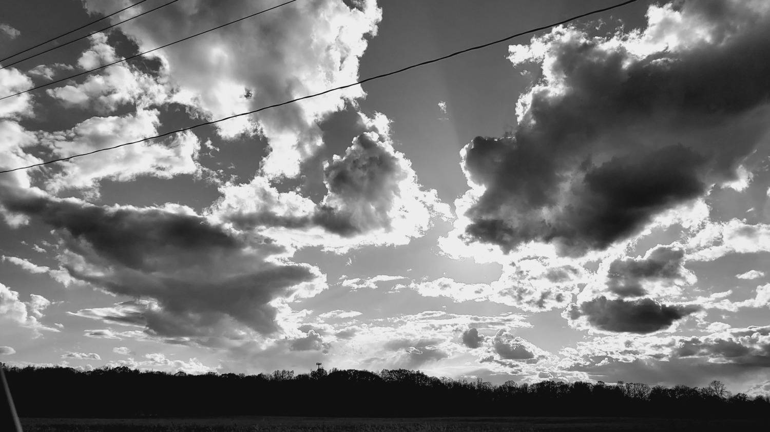 Photo #7778841
