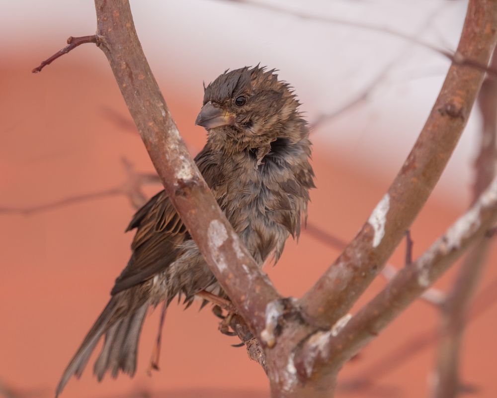 Photograph by Руслан Вотинцев