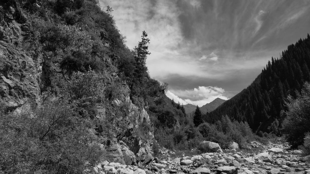 Photograph by Farkhad