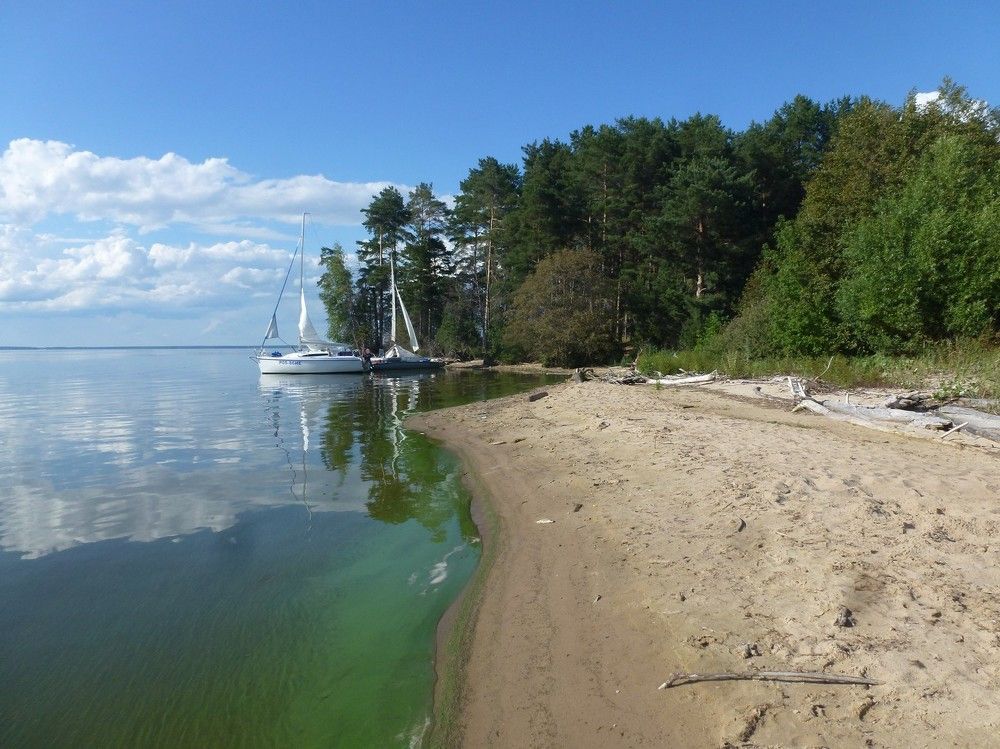 Photograph by Алексей Логинов