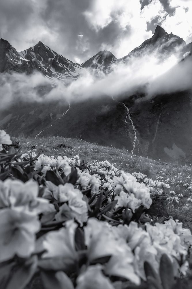 Photograph by Владимир Кульбит