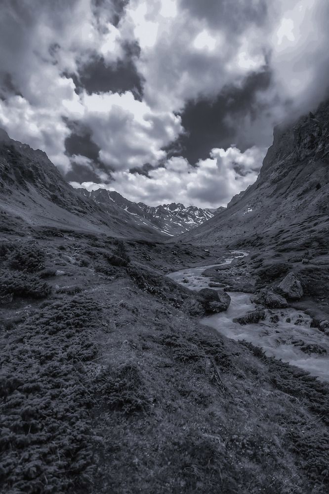 Photograph by Владимир Кульбит