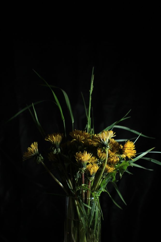 Photograph by Елена Змейкова