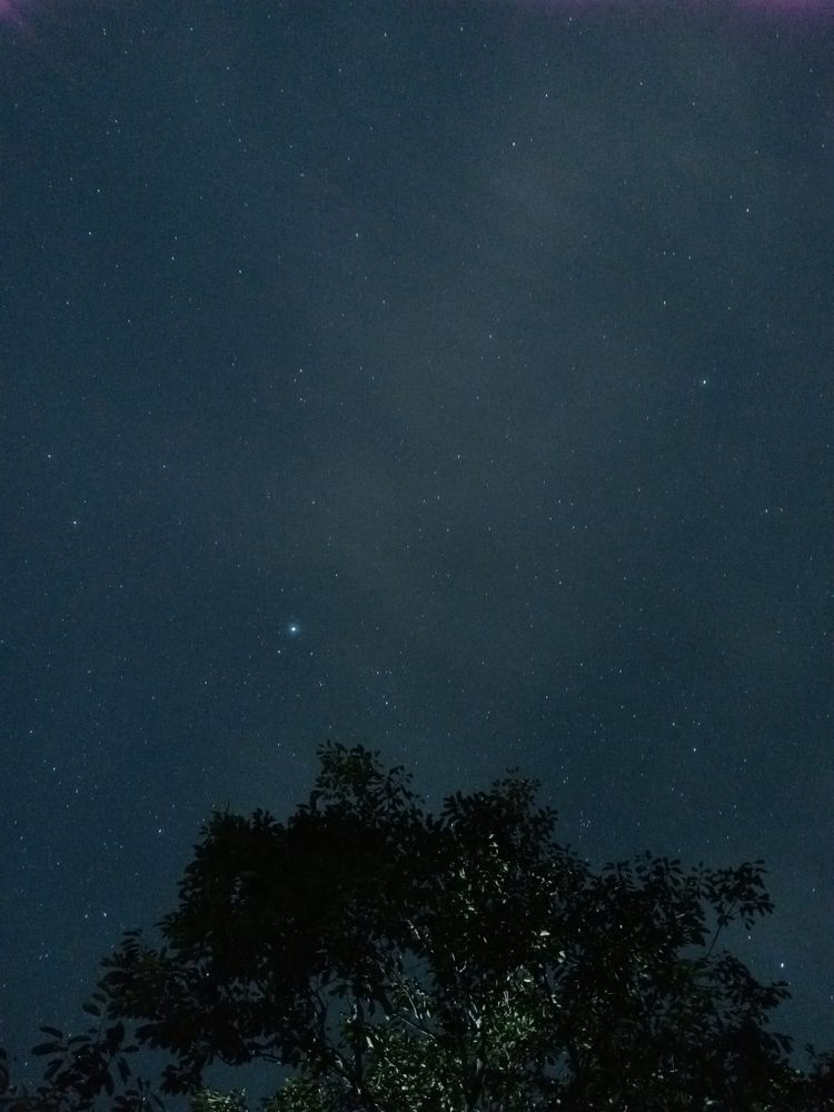 Photograph by Mashrafe Rahman Sadaf