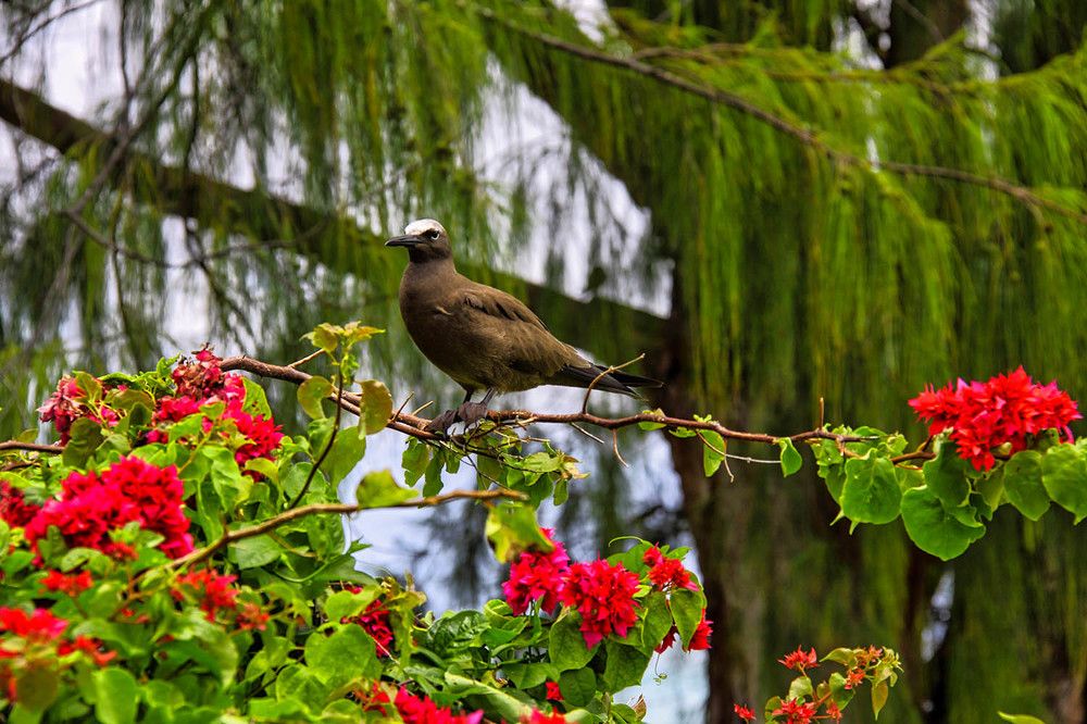 Photograph by Михаил Баевский
