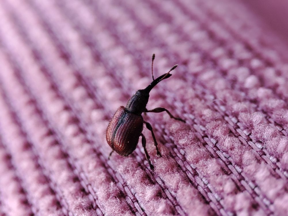 Photograph by DARIA DEMINA