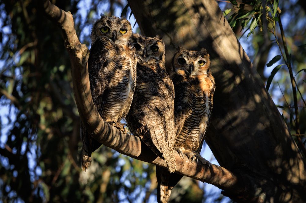 Photograph by Geoffrey Tipton