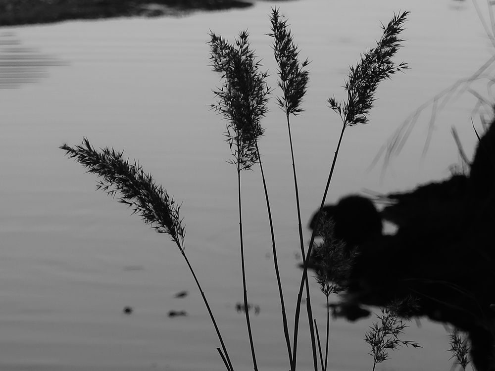 Photograph by Юлия Майкова