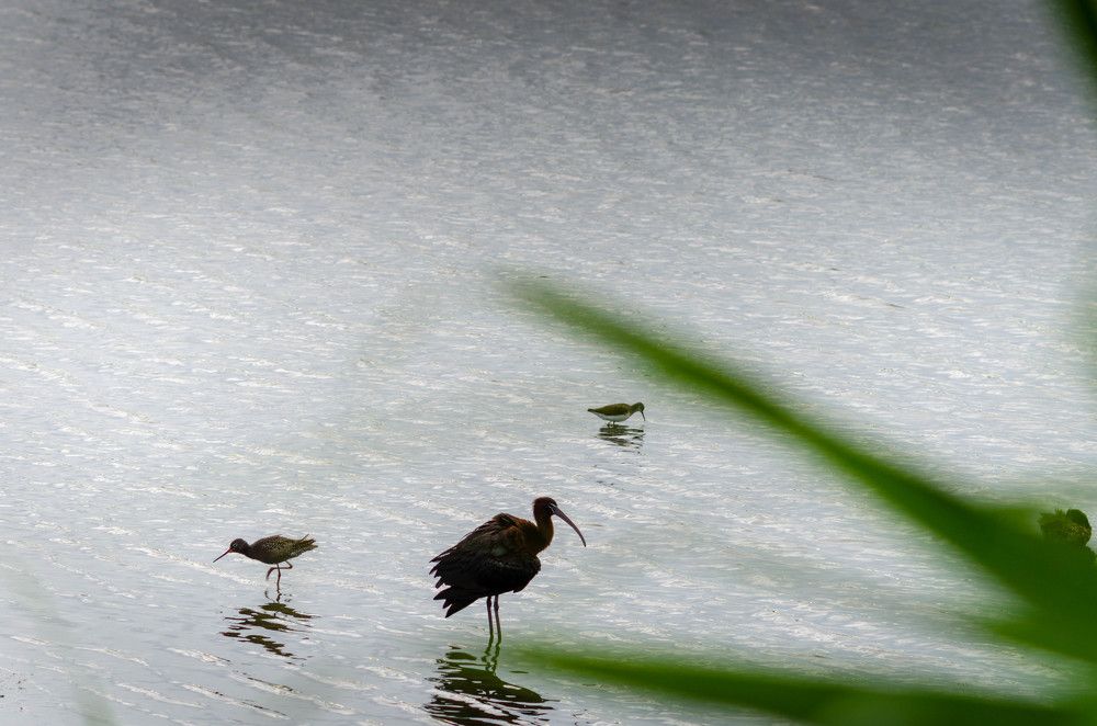 Photograph by Редько Александр